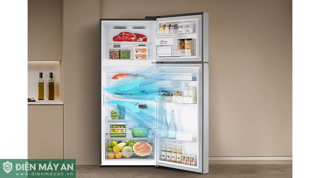 Tủ lạnh LG Inverter 335 lít LTB33BLG